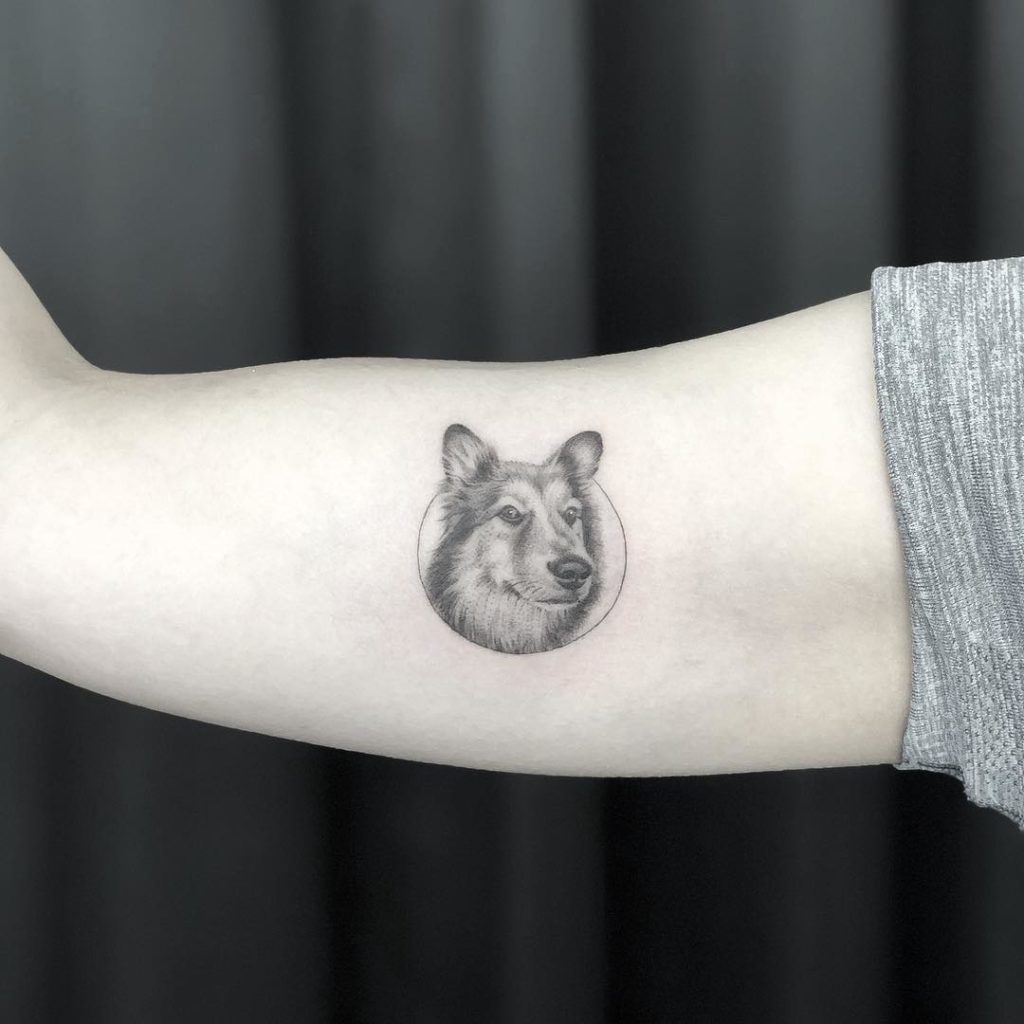 Small Dog Portrait Tattoo