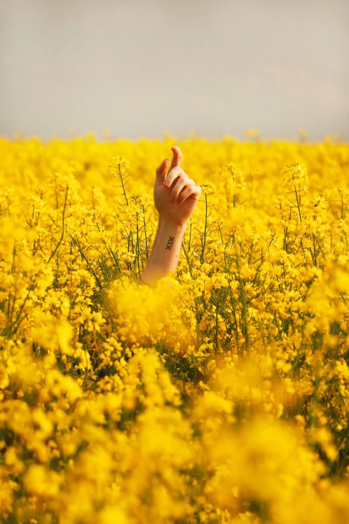 Hands with flower tattoos