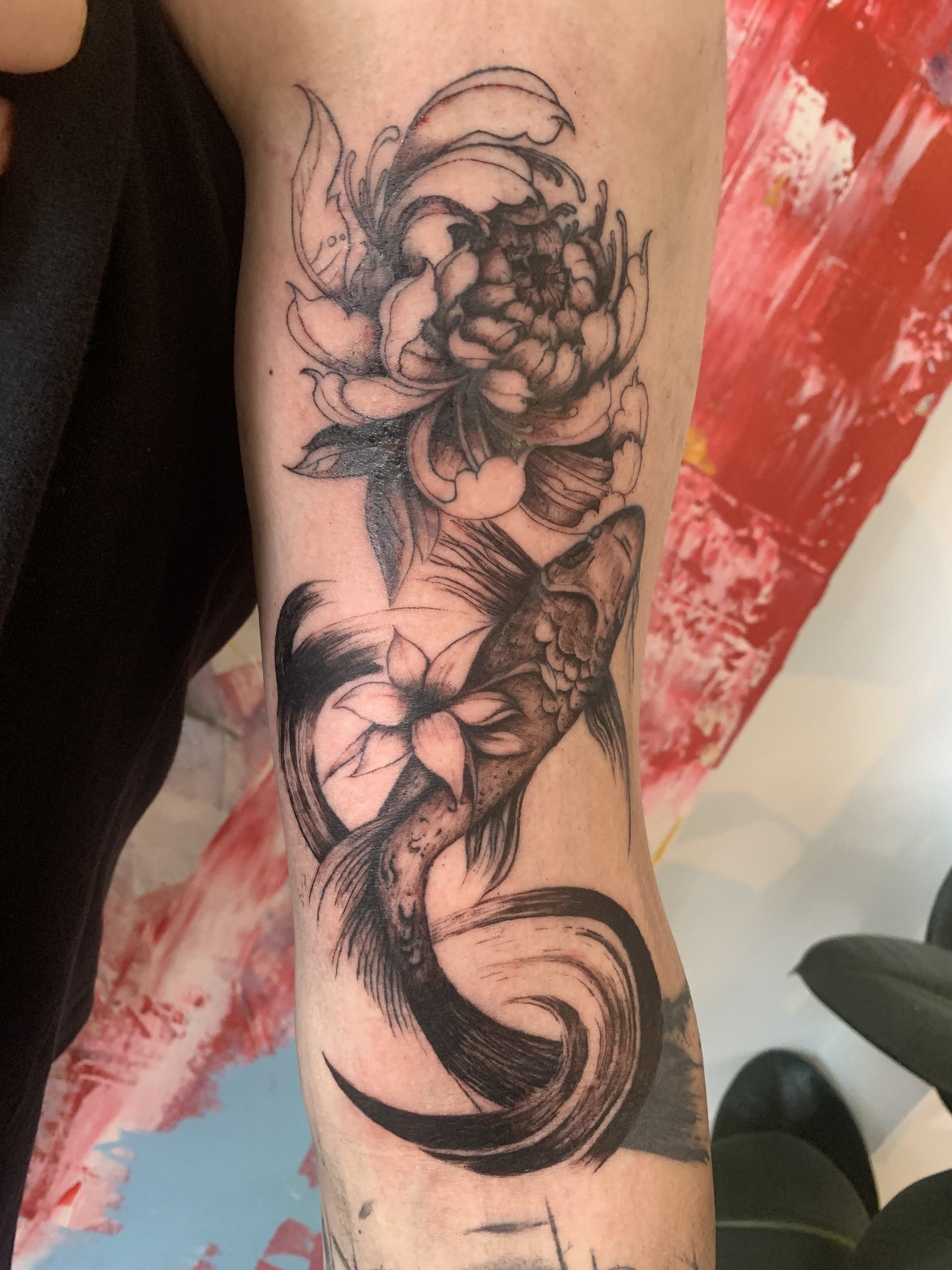 Koi Fish Rose