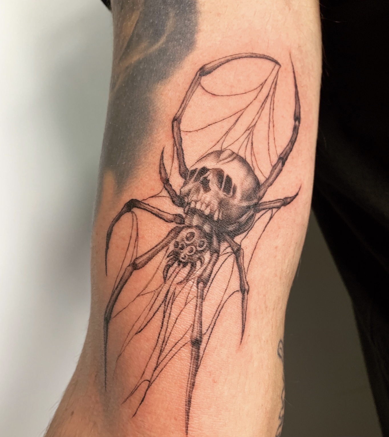 Spider