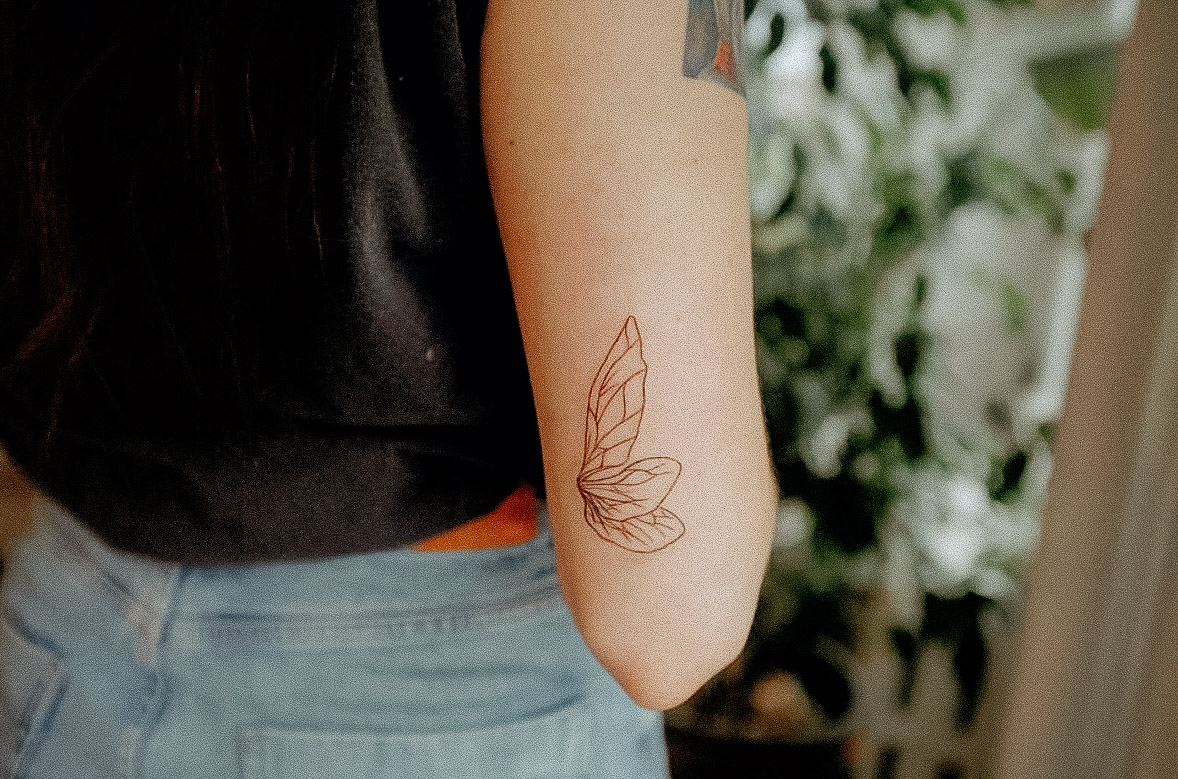 Wings 1