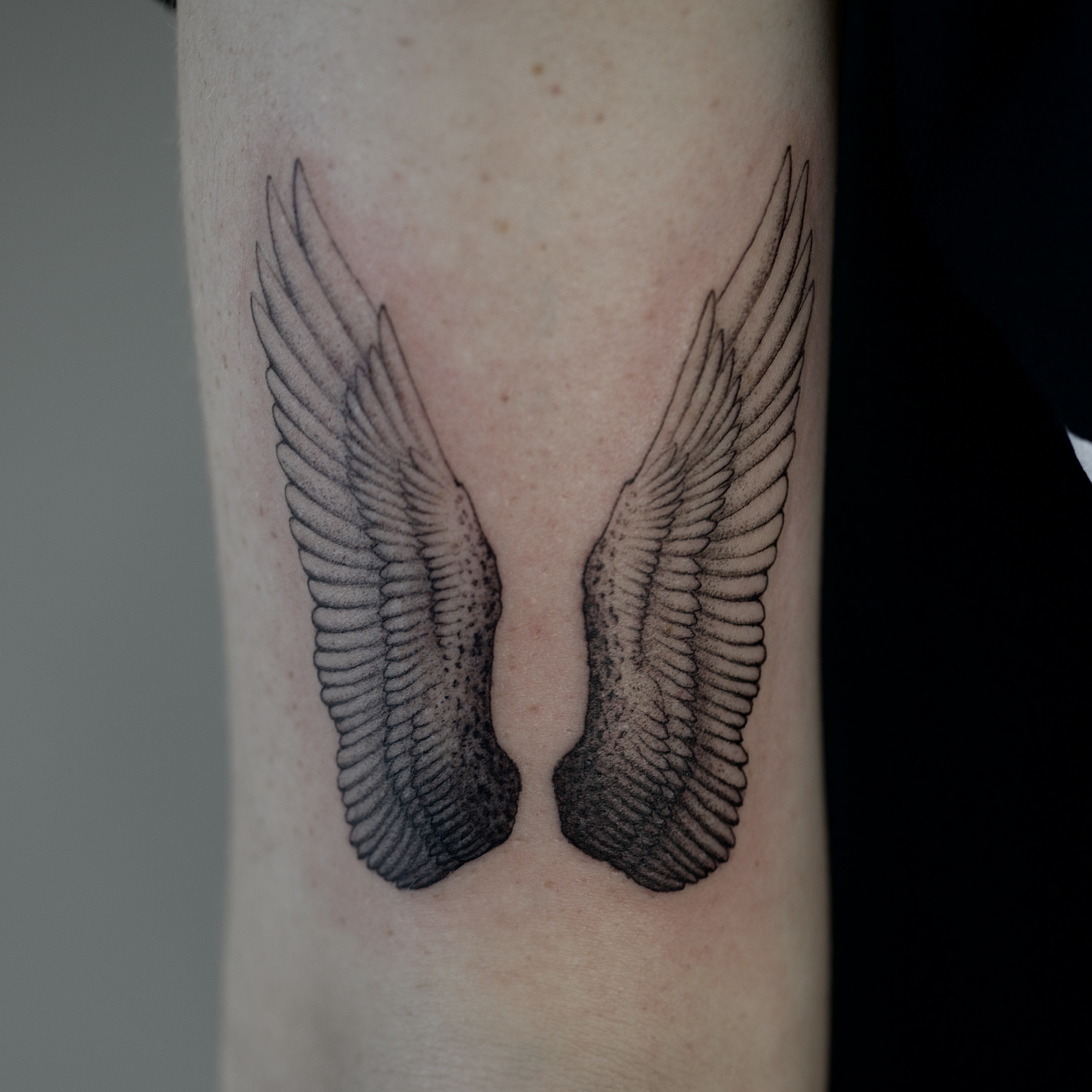 Wings