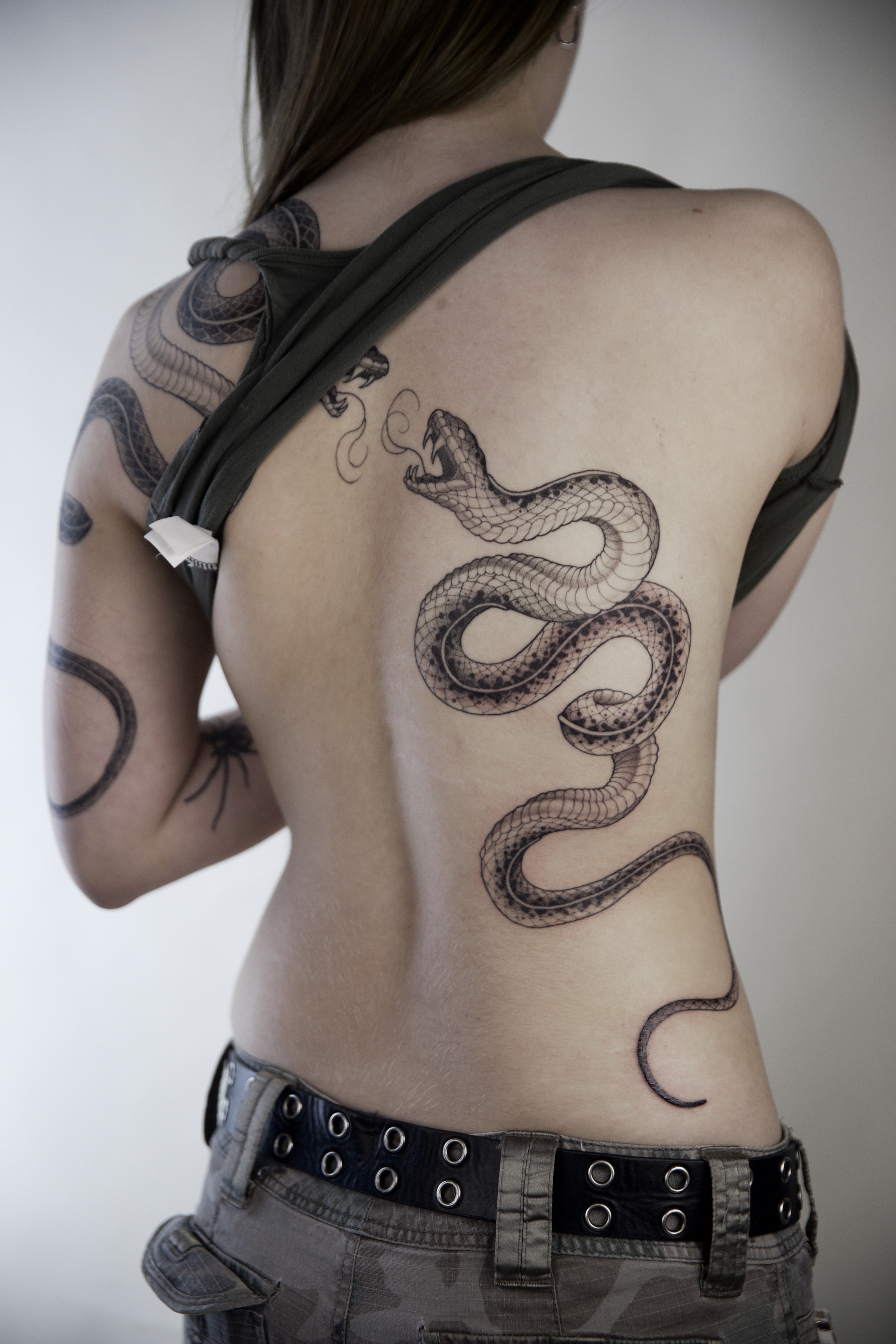 Snake