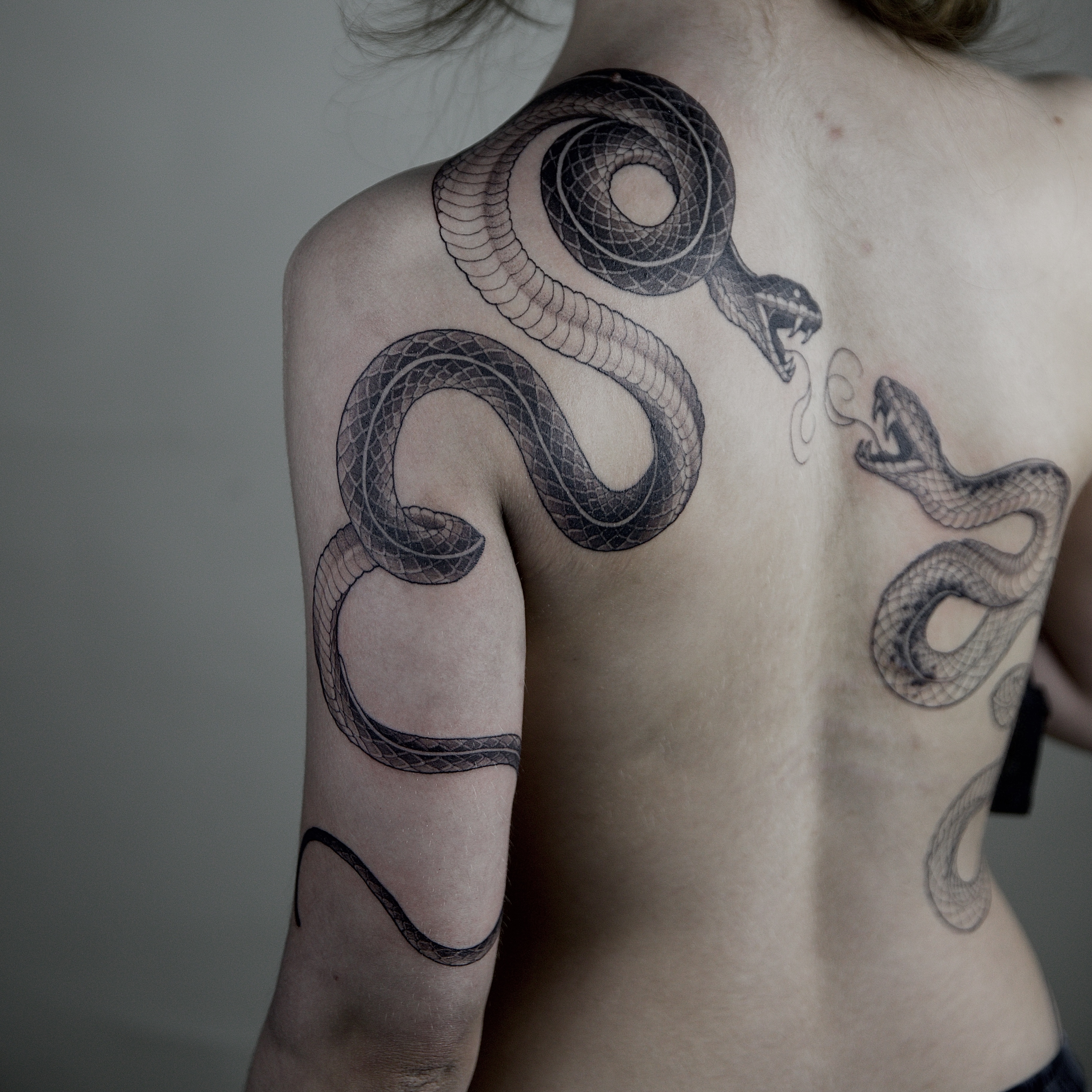 Snake