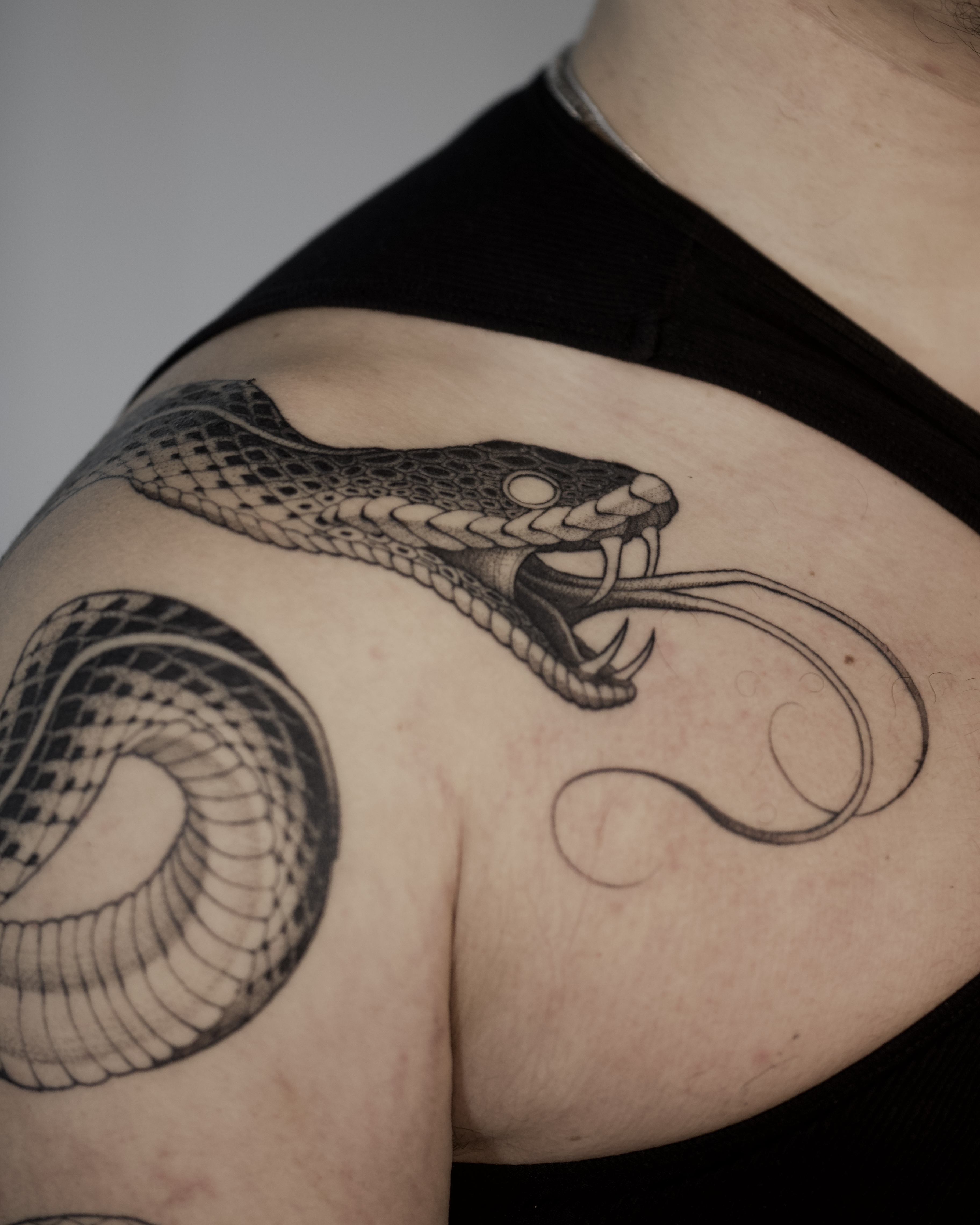 Snake
