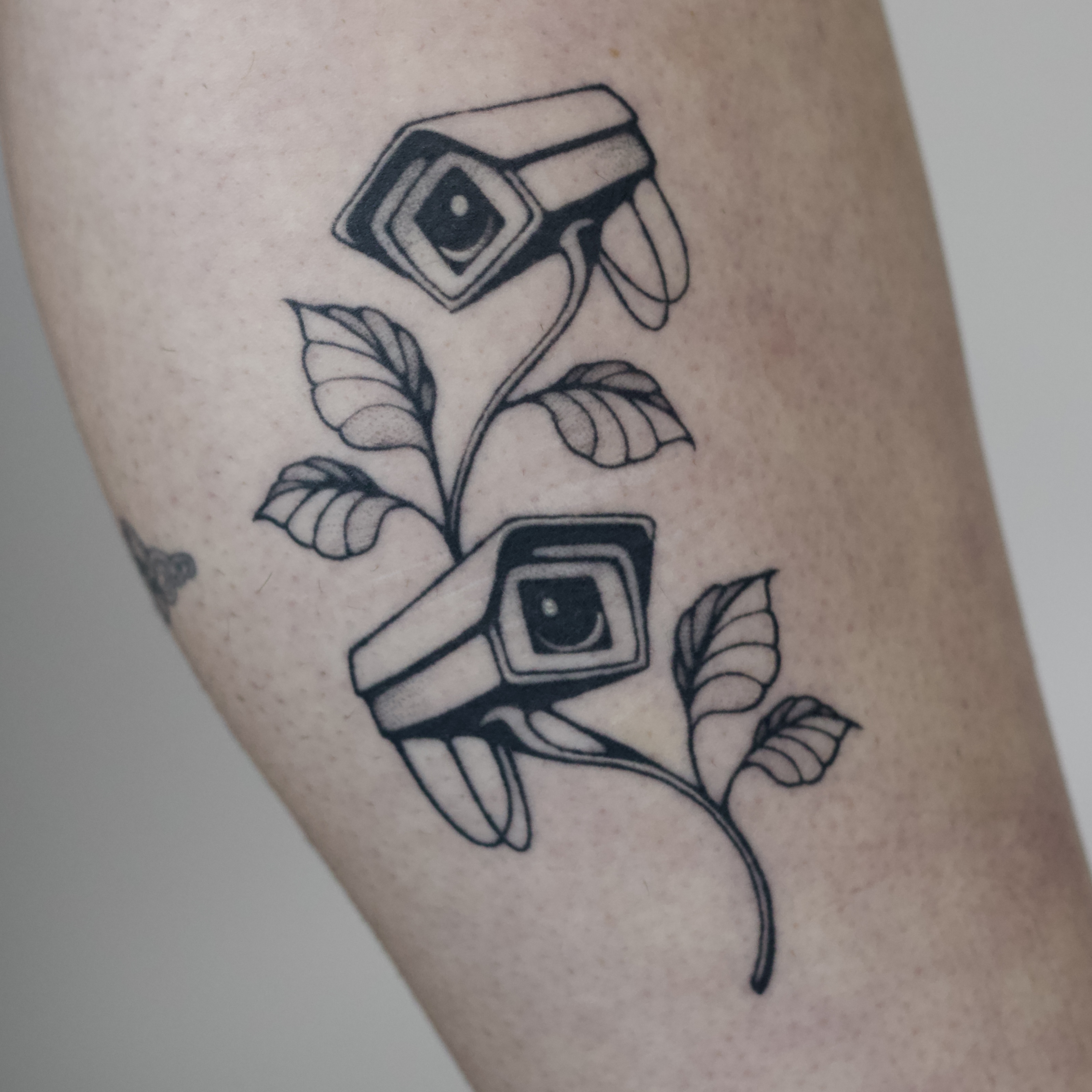 Healed surveillance camera plant