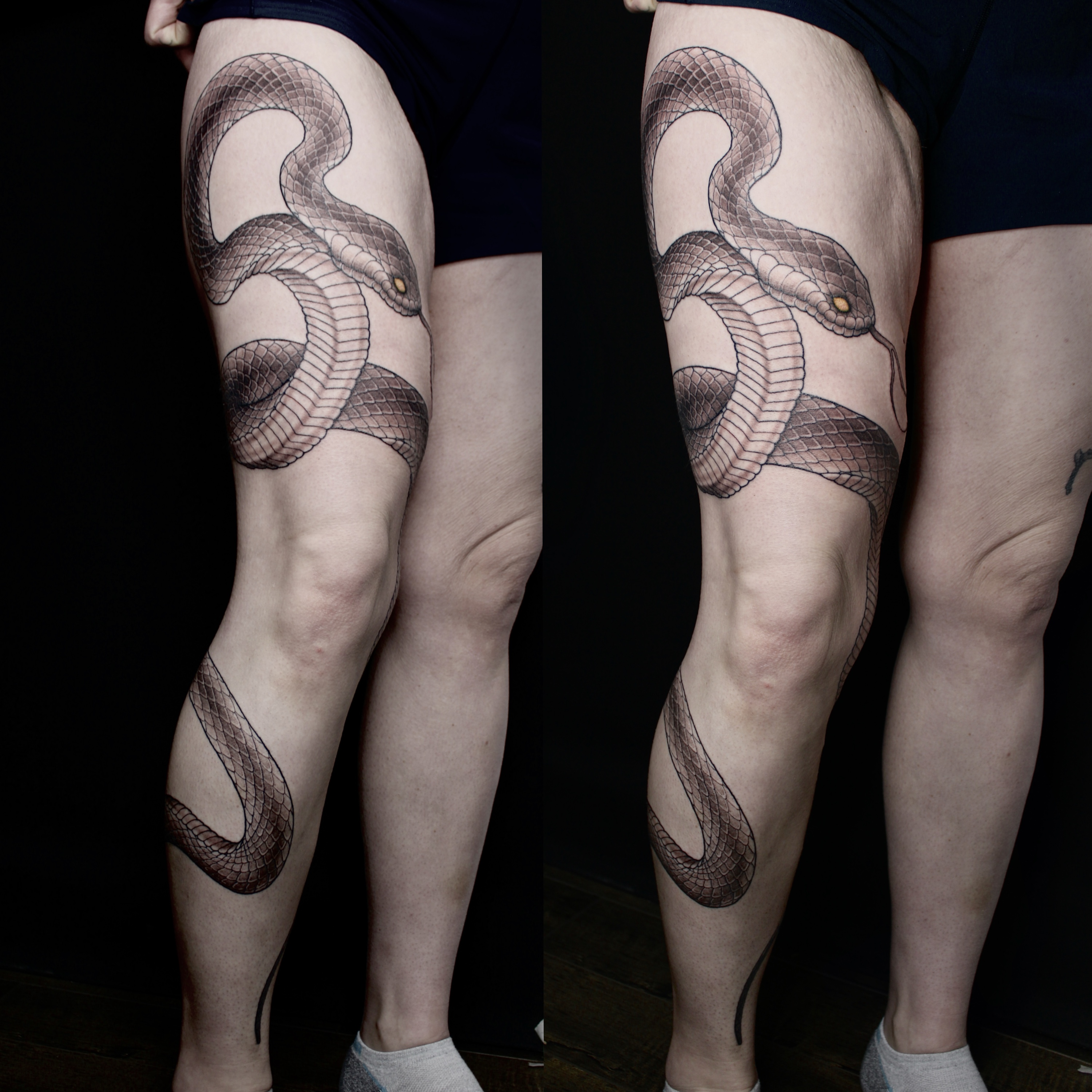 Snake