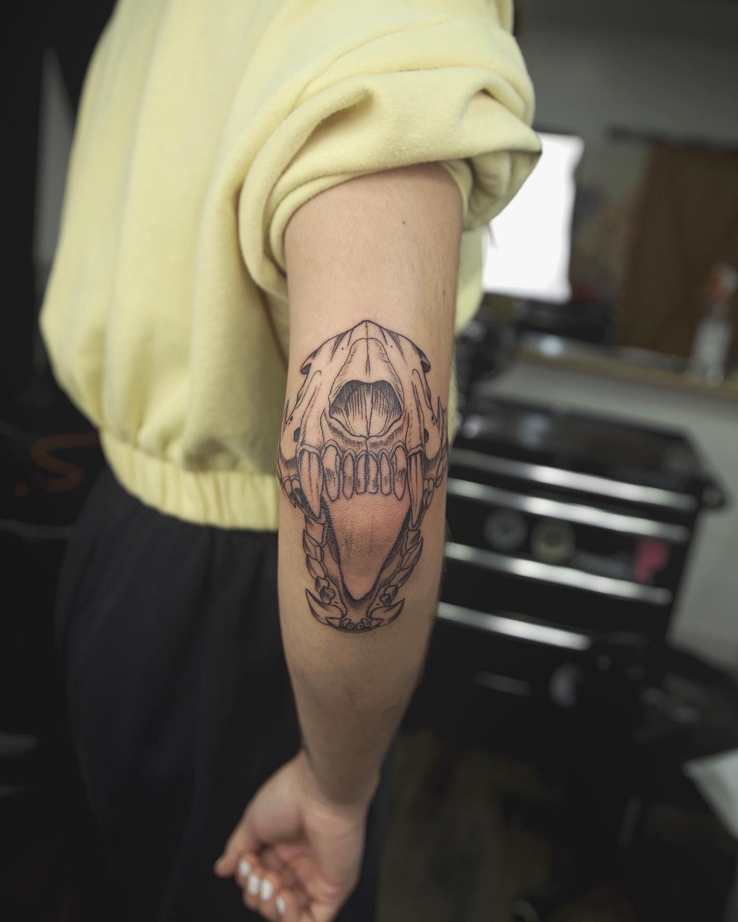 skull_elbow