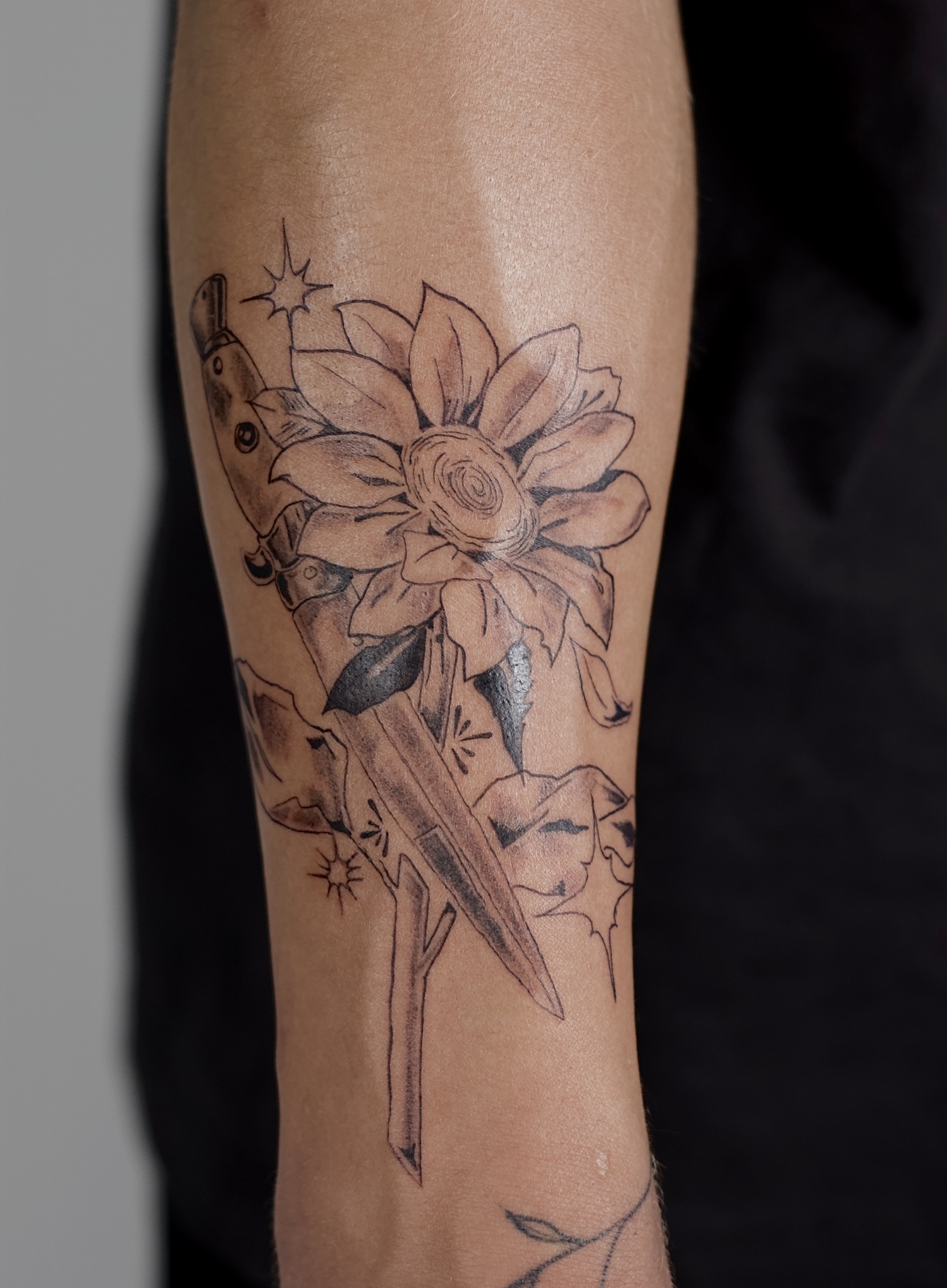 Sunflower