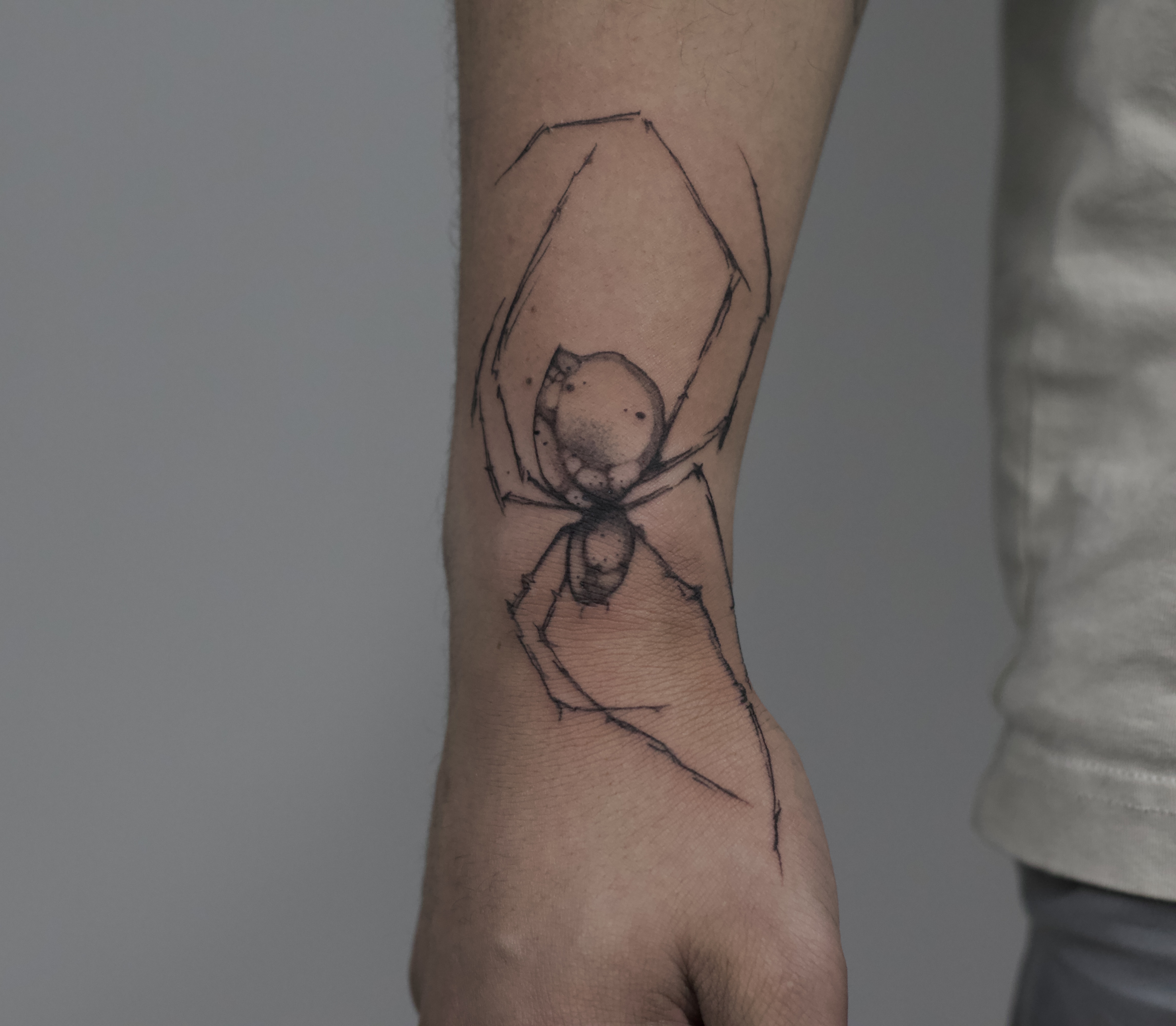 Spider 