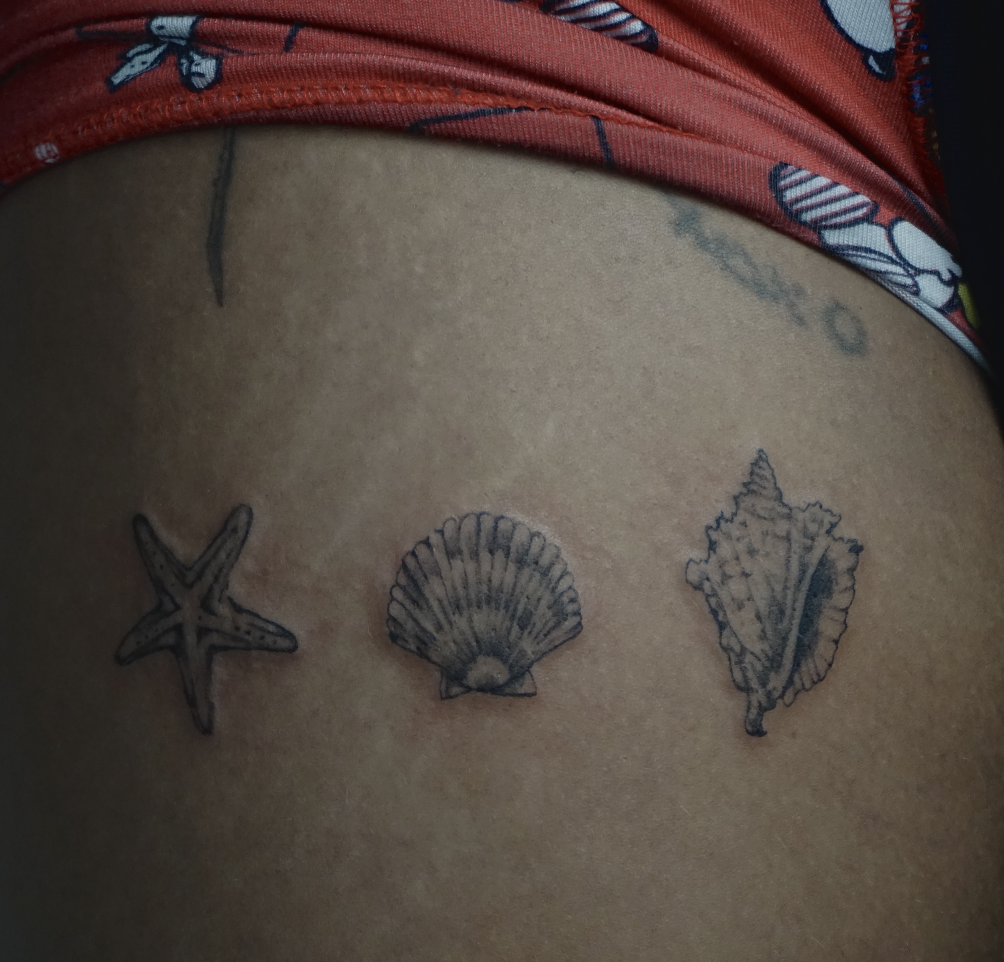 Seashells