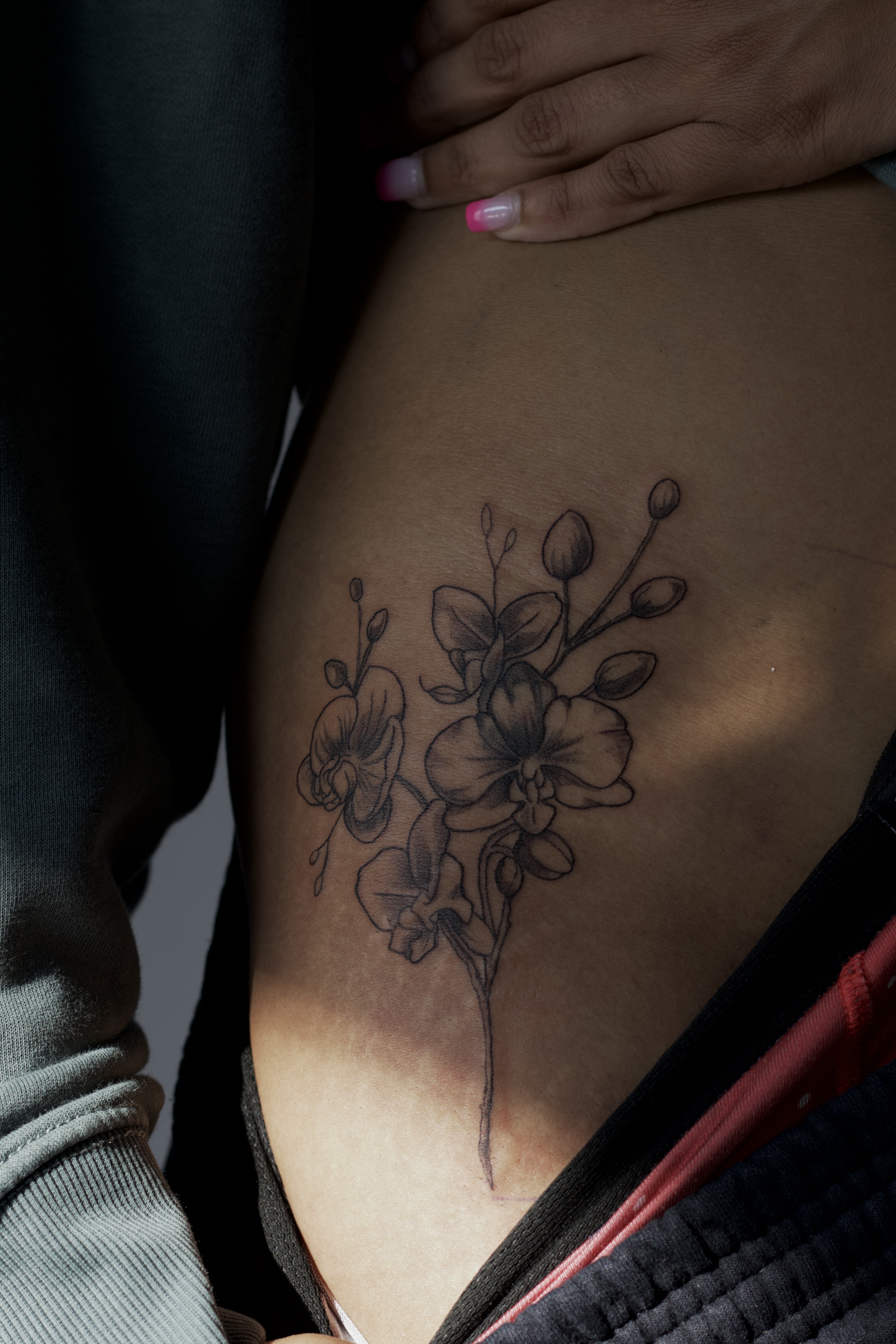 Orchid 
